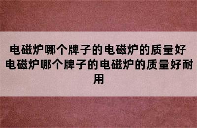 电磁炉哪个牌子的电磁炉的质量好 电磁炉哪个牌子的电磁炉的质量好耐用